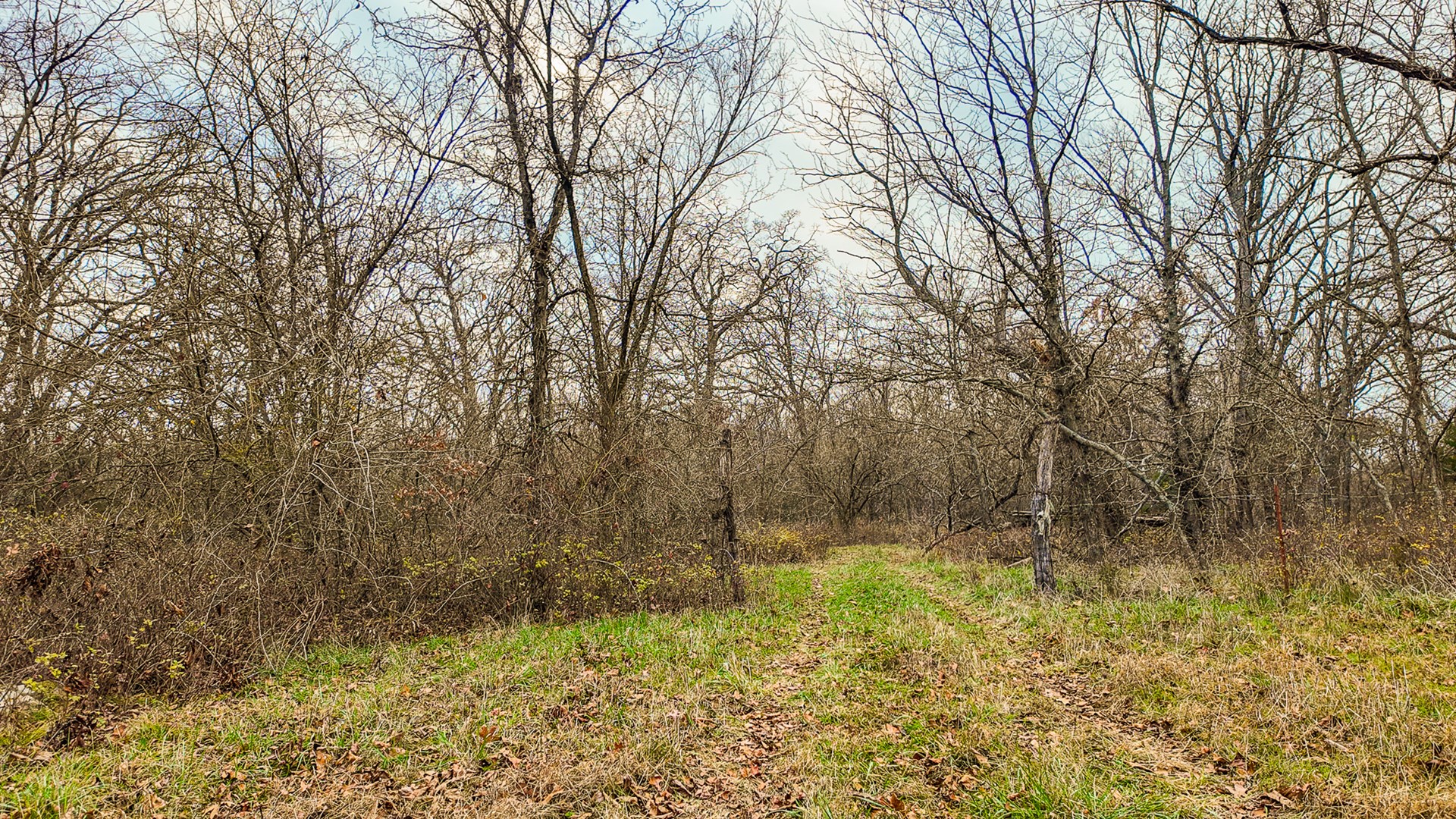 293 +/- acre hunting property for sale Lowry City MO