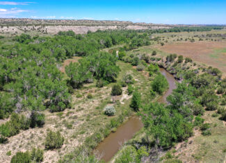 Burnt Mill Ranch – 643± Acres of Prime Colorado Ranchland