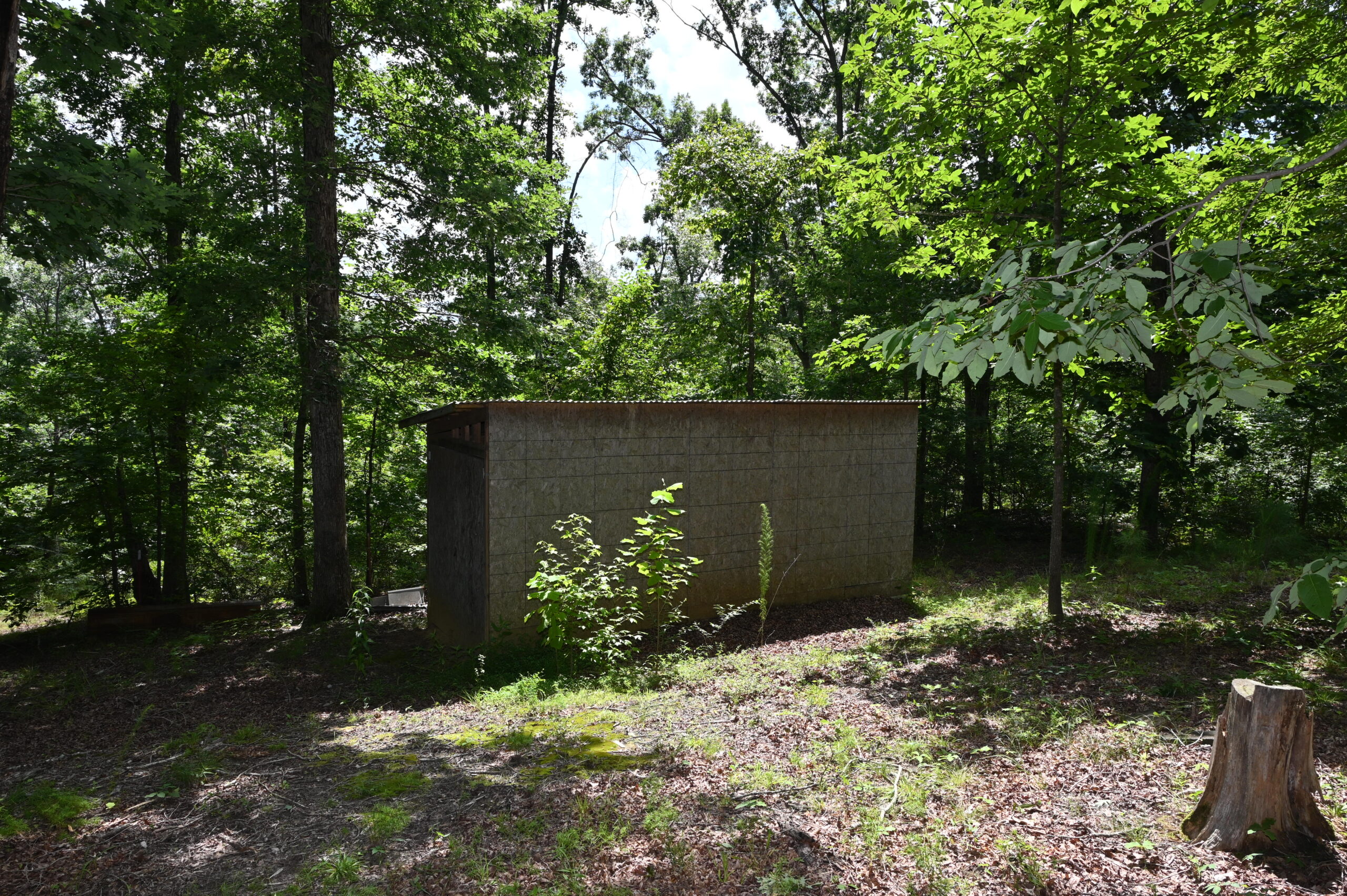 53± Acres for Sale in Decaturville, Tennessee