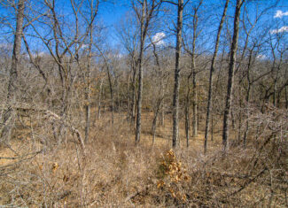 Hunting property for sale, Truman Lake