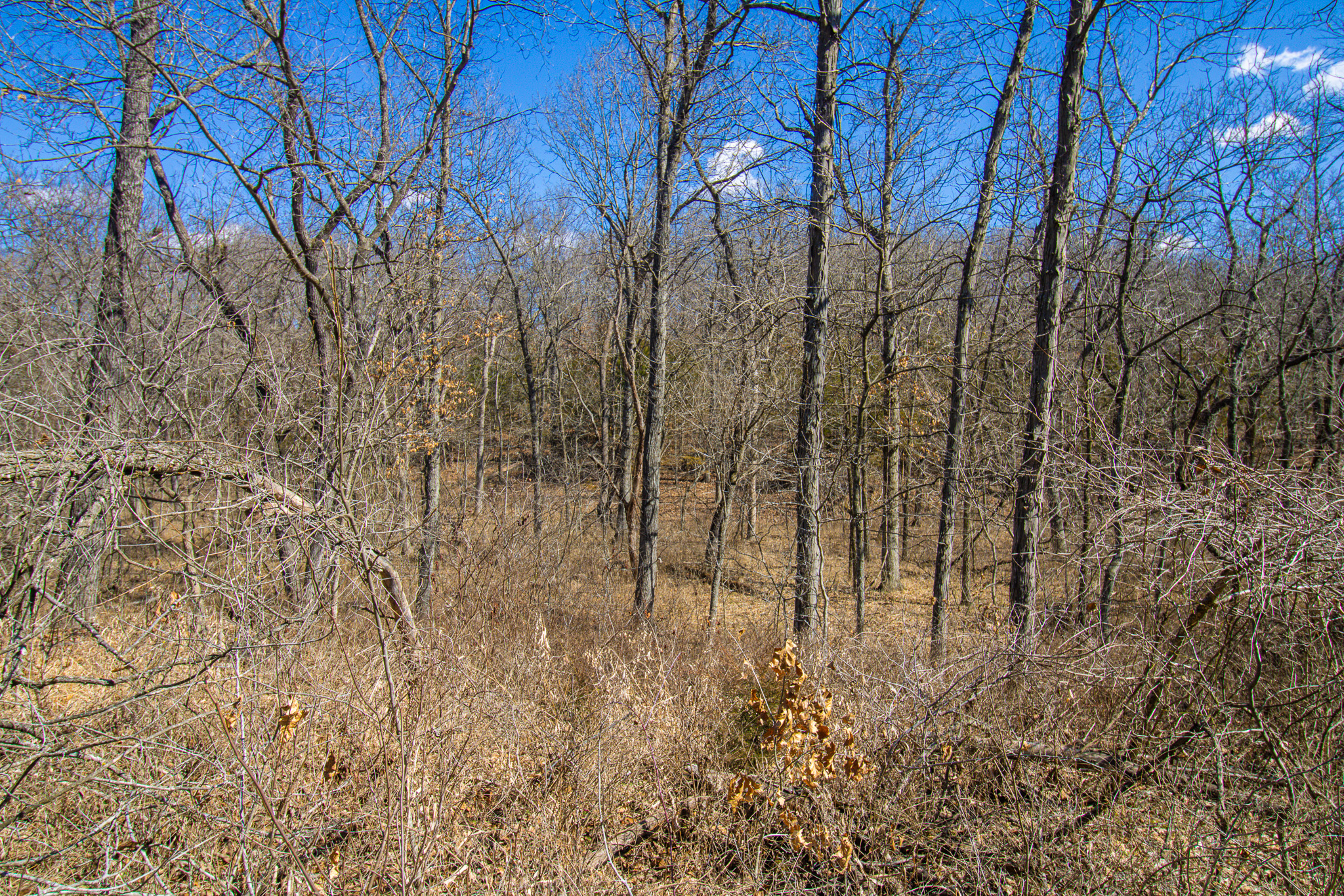 89+/- Acre Hunting property with a nice home and shop