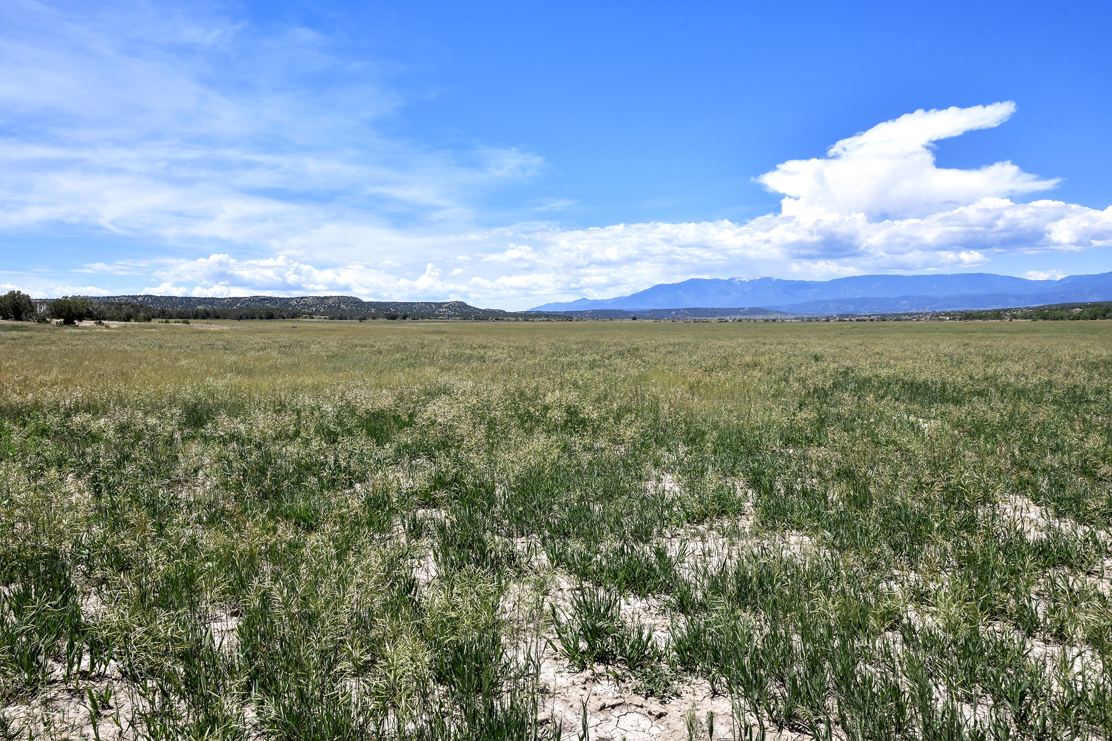 Burnt Mill Ranch – 643± Acres of Prime Colorado Ranchland