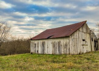 293 +/- acre hunting property for sale Lowry City MO