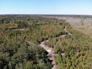 South Carolina Hunting Land for Sale