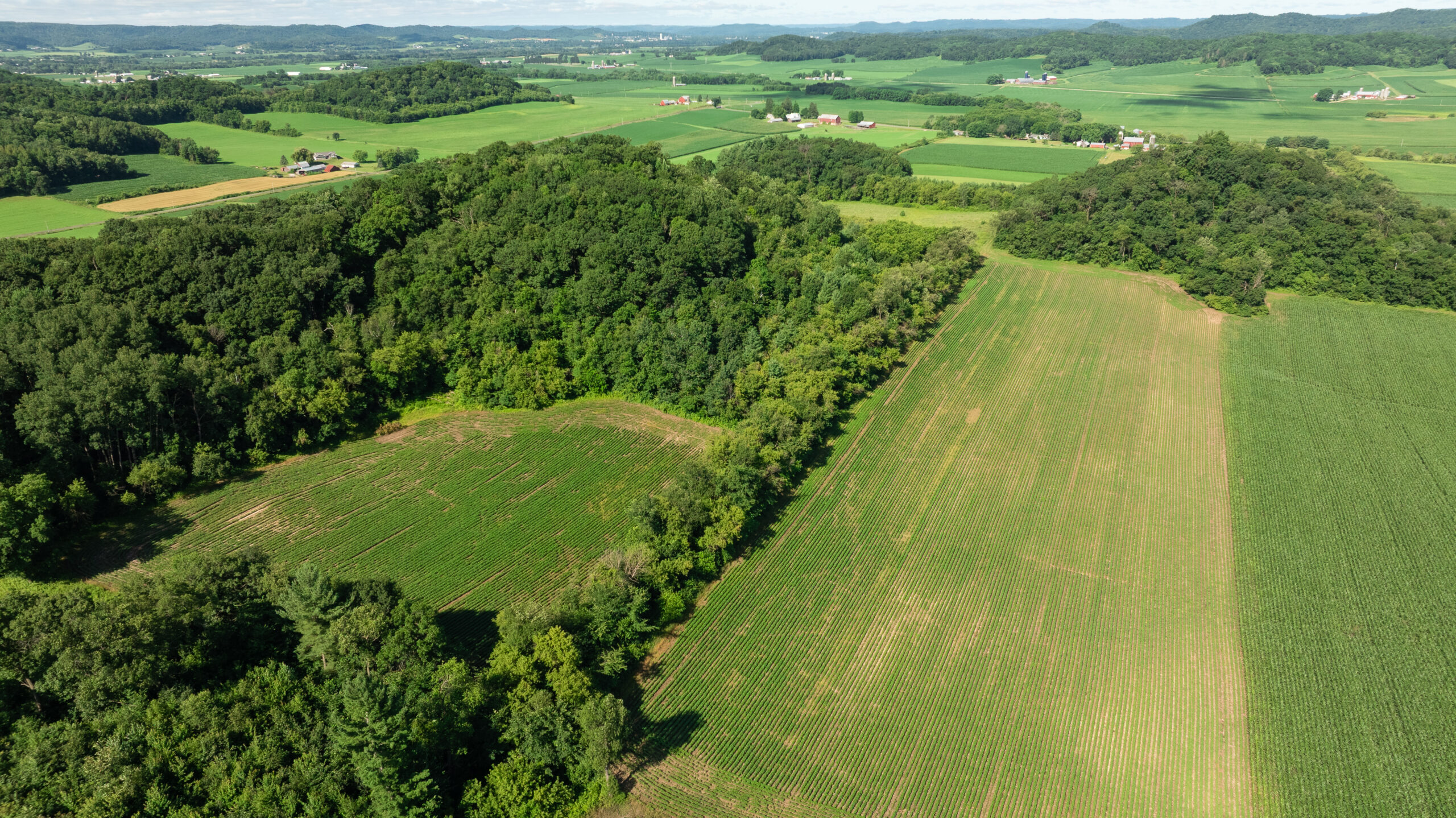 115 +/- Acre Farm Offered in 2 Lots Online Only Auction