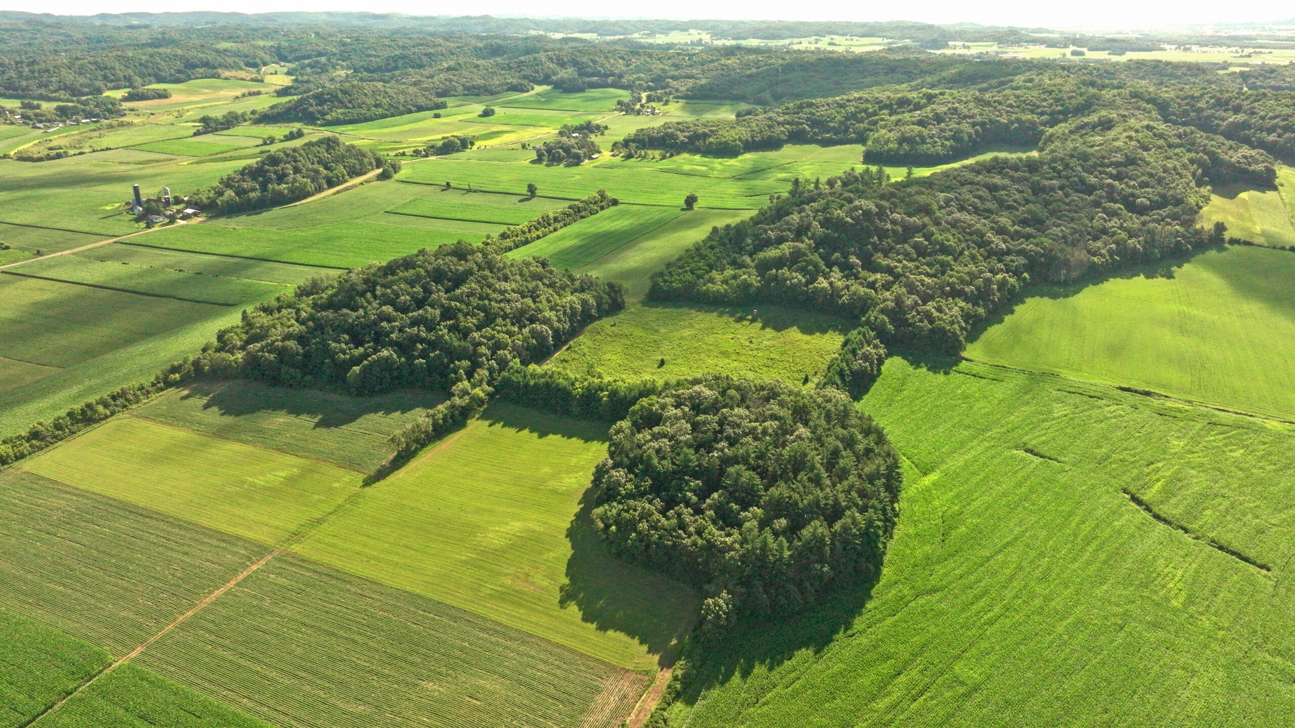 115 +/- Acre Farm Offered in 2 Lots Online Only Auction