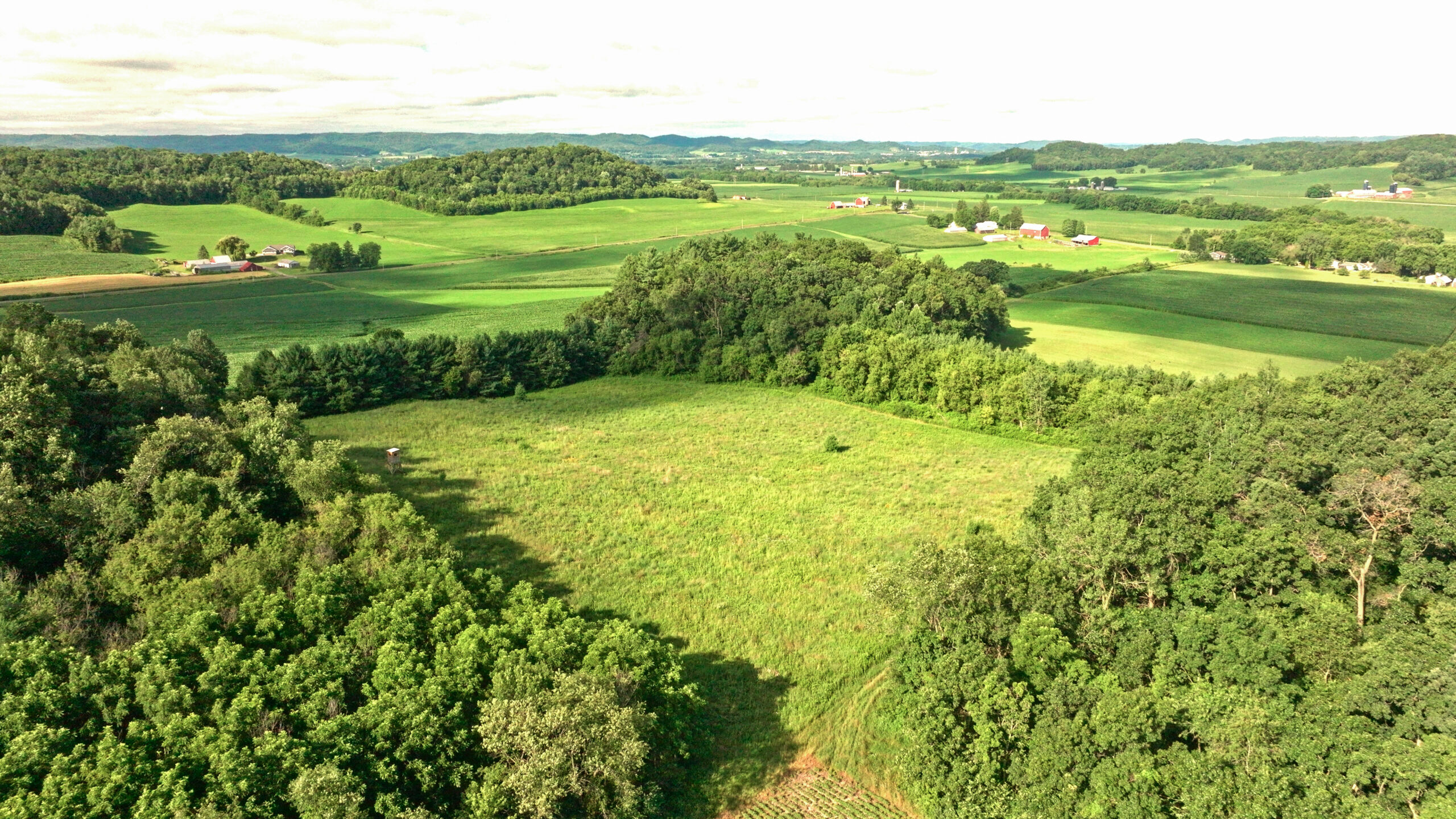 115 +/- Acre Farm Offered in 2 Lots Online Only Auction