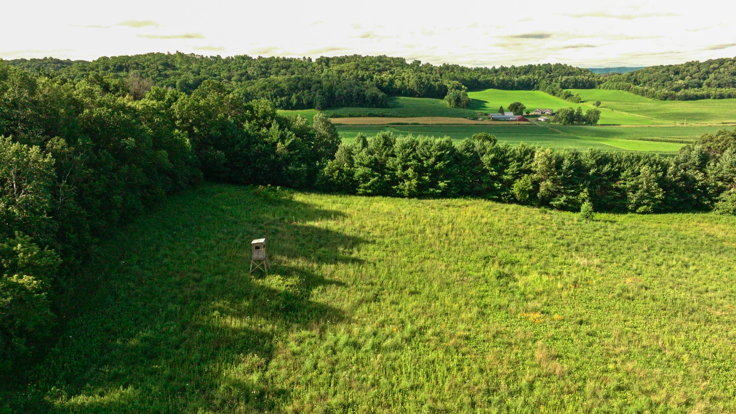 115 +/- Acre Farm Offered in 2 Lots Online Only Auction
