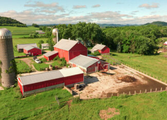 115 +/- Acre Farm Offered in 2 Lots Online Only Auction