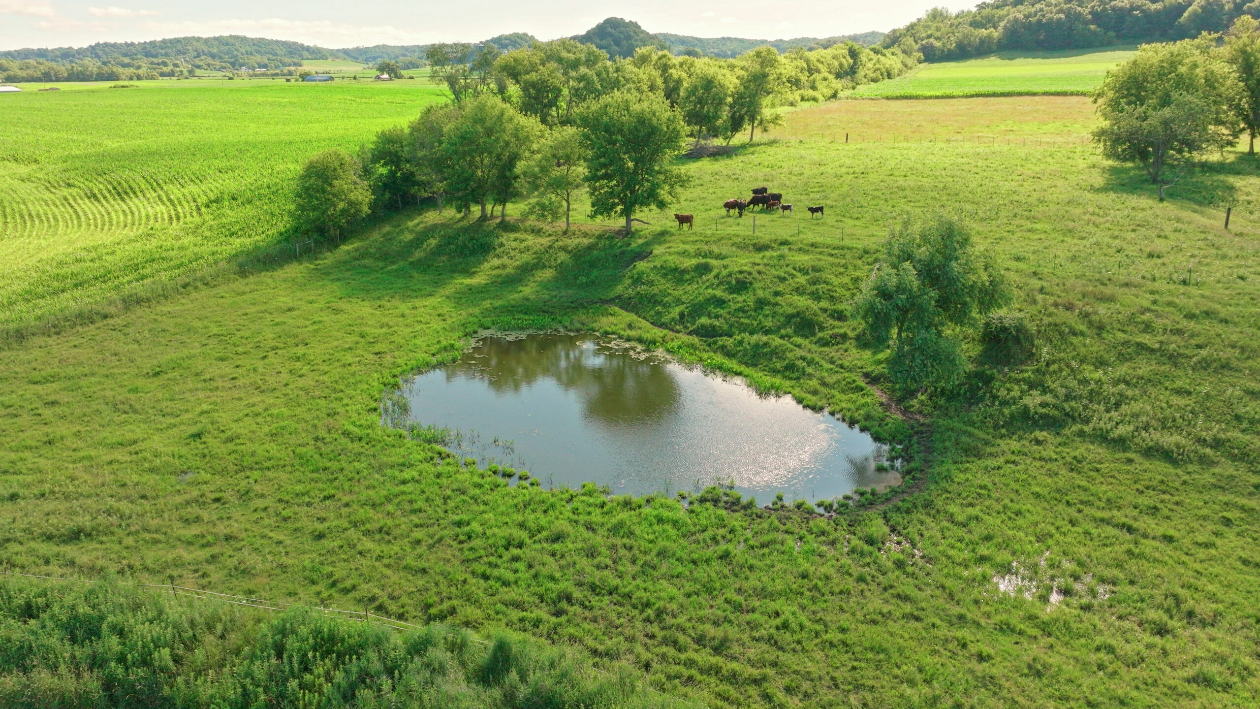 115 +/- Acre Farm Offered in 2 Lots Online Only Auction