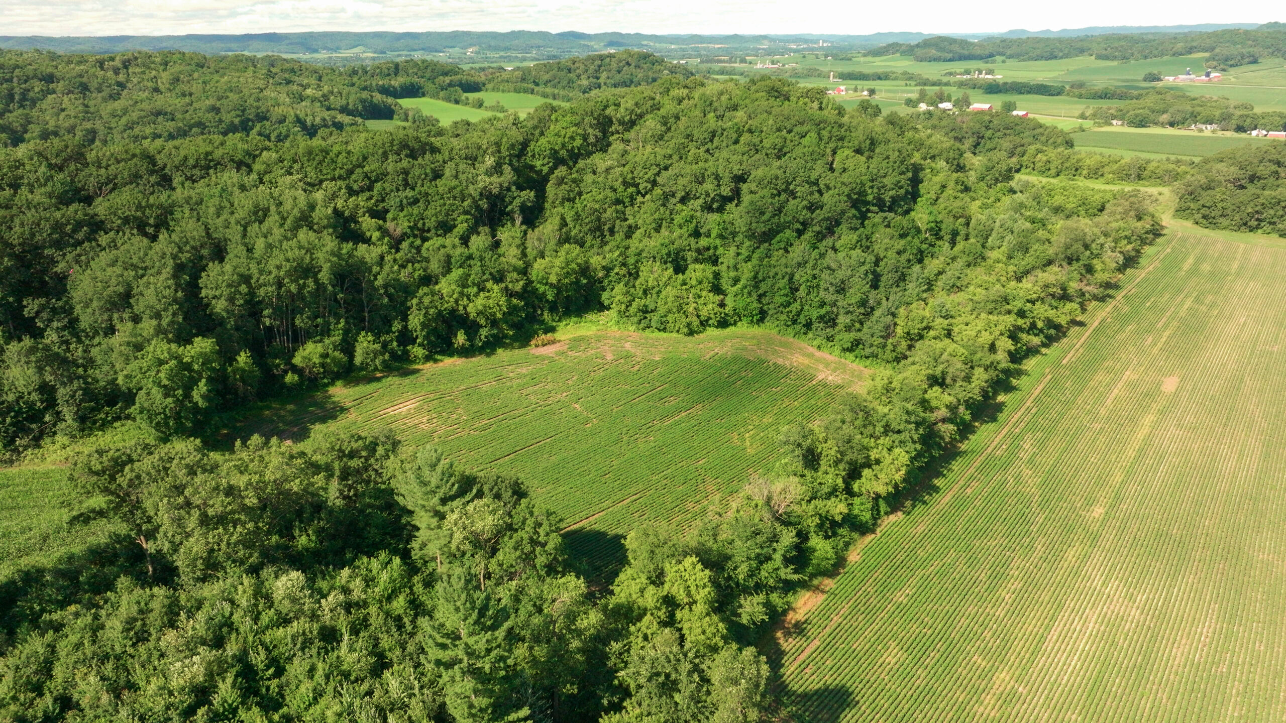 115 +/- Acre Farm Offered in 2 Lots Online Only Auction