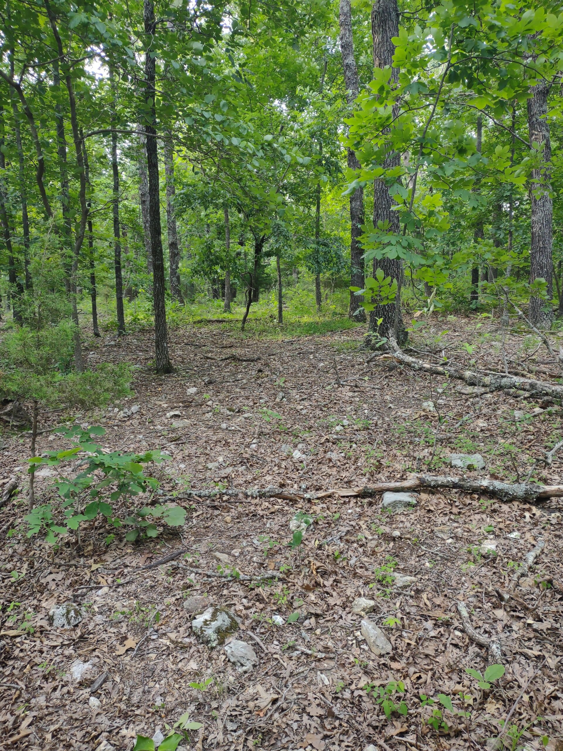 Vacant Hunting Land For Sale in Laclede County, Falcon, Missouri