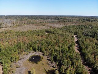 South Carolina Hunting Land for Sale