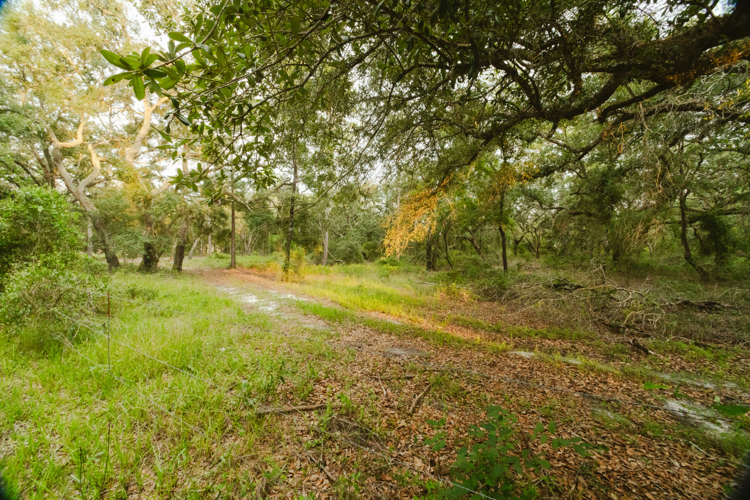 North Florida Recreational and Hunting Acreage