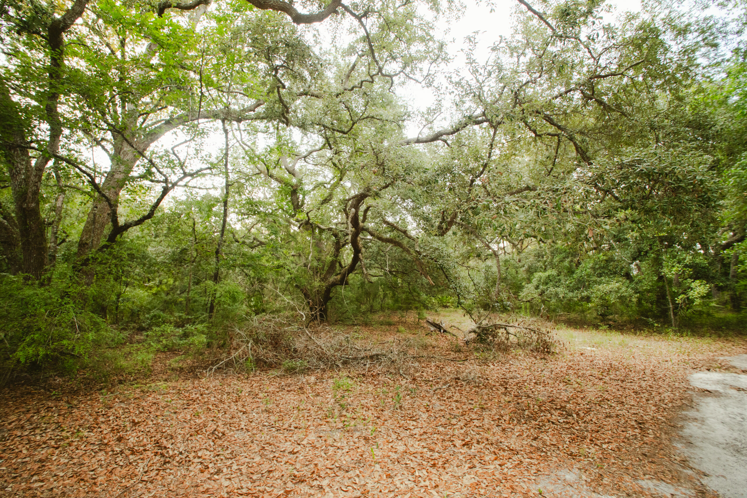 North Florida Recreational and Hunting Acreage