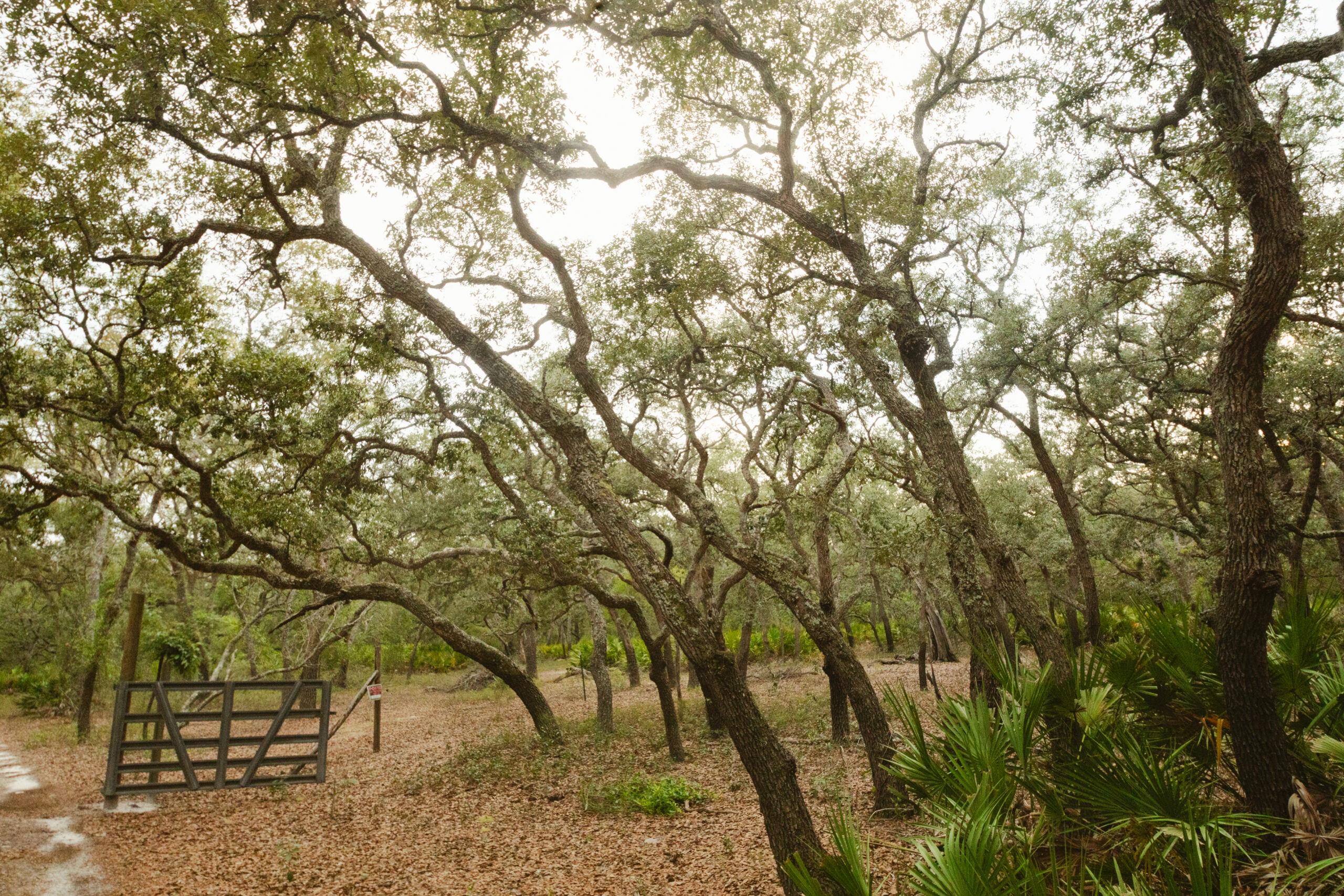 North Florida Recreational and Hunting Acreage
