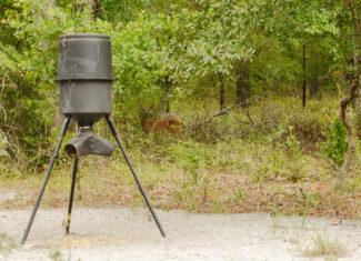 North Florida Recreational and Hunting Acreage