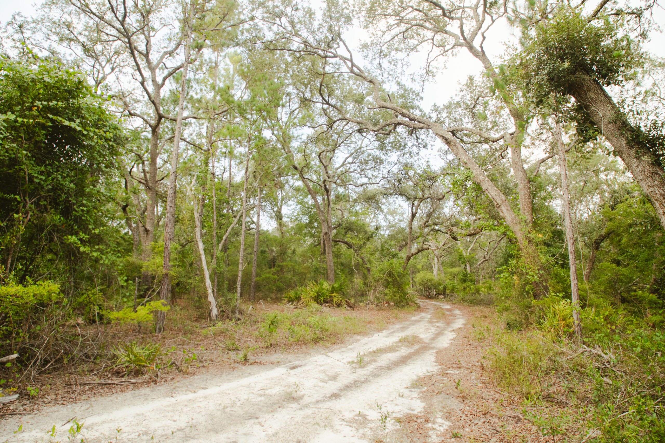 North Florida Recreational and Hunting Acreage