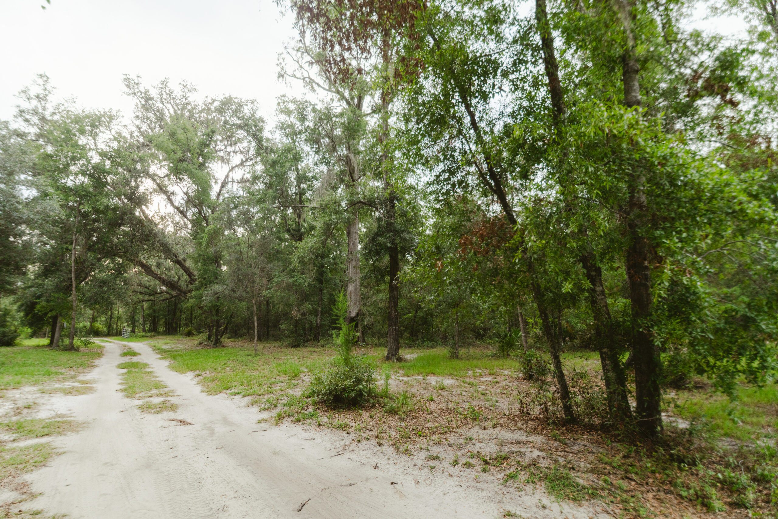 North Florida Recreational and Hunting Acreage