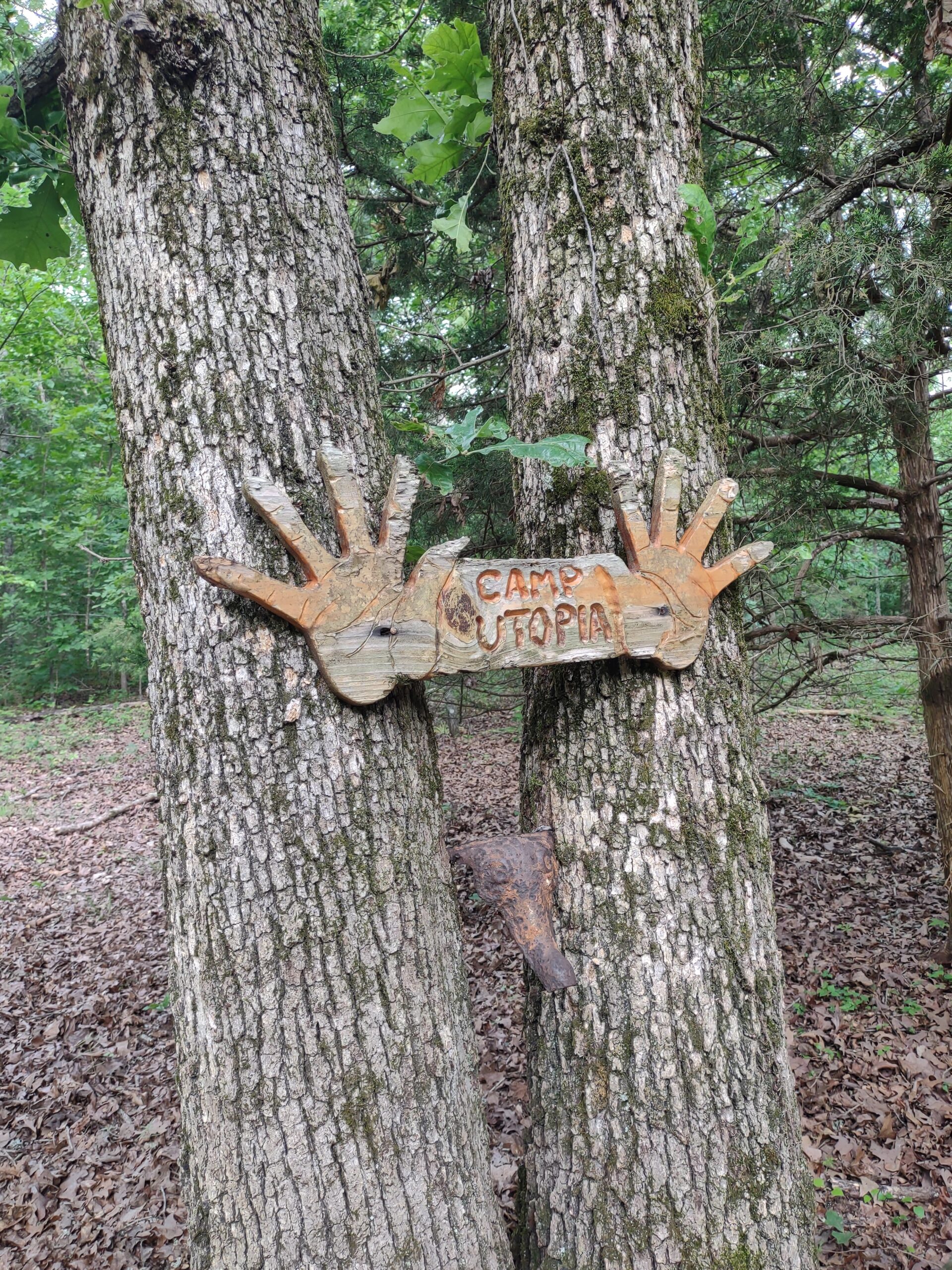Vacant Hunting Land For Sale in Laclede County, Falcon, Missouri