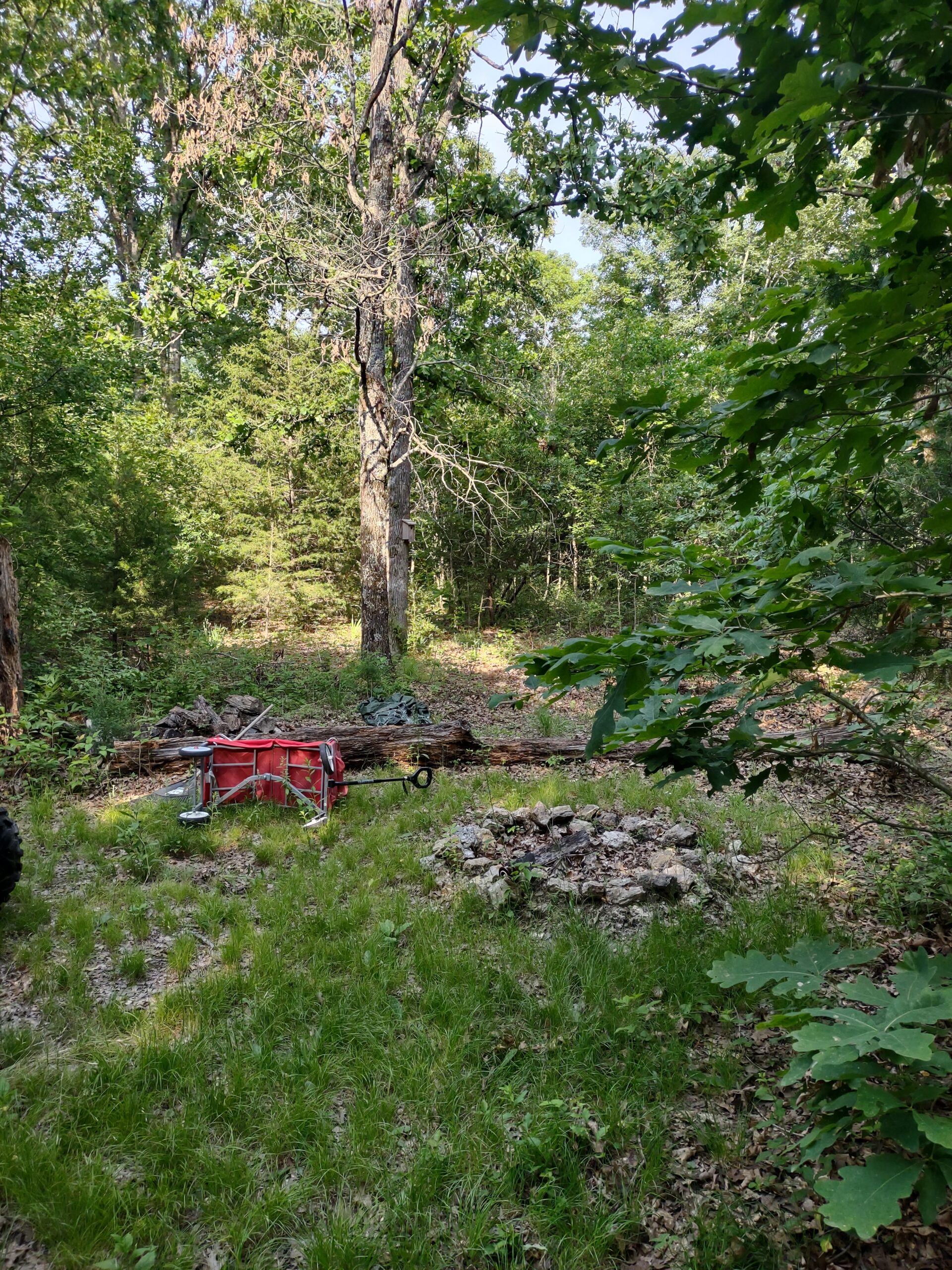 Vacant Hunting Land For Sale in Laclede County, Falcon, Missouri