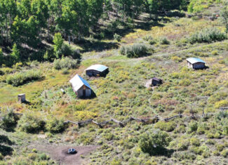 835 Acres in the Uncompaghre National Forest