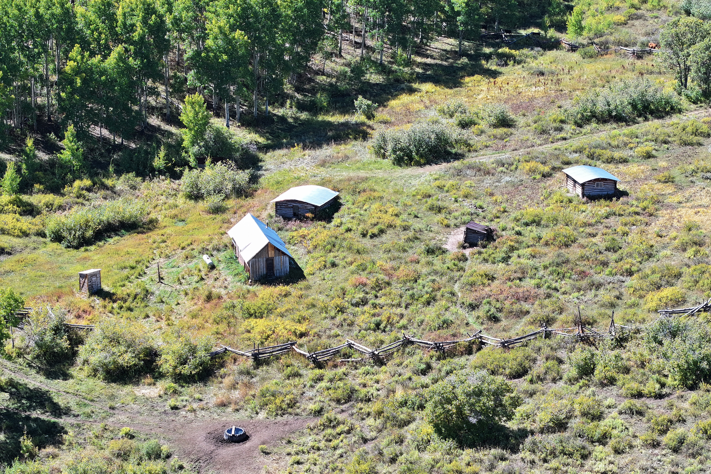 835 Acres in the Uncompaghre National Forest
