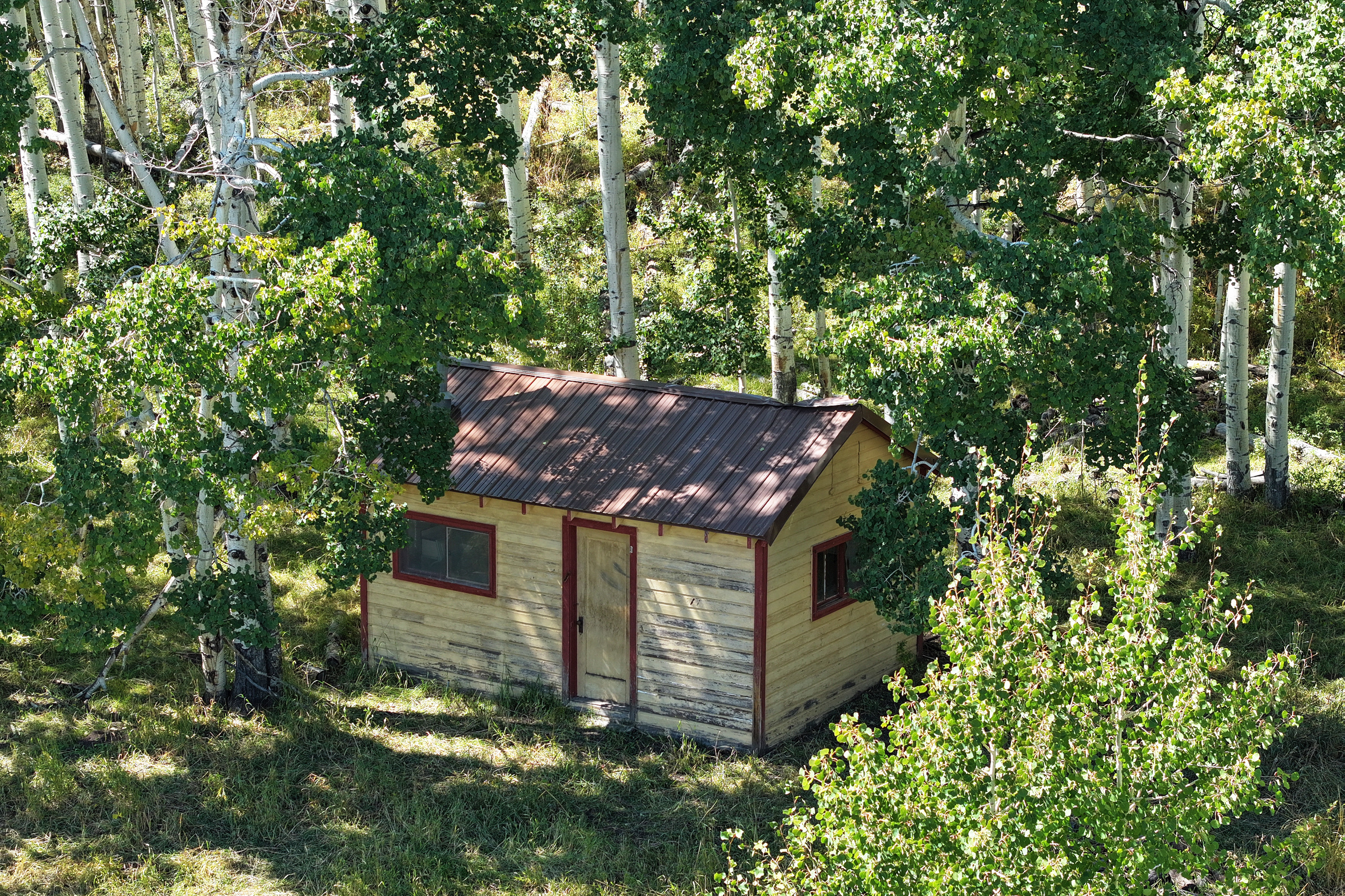835 Acres in the Uncompaghre National Forest