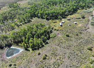835 Acres in the Uncompaghre National Forest