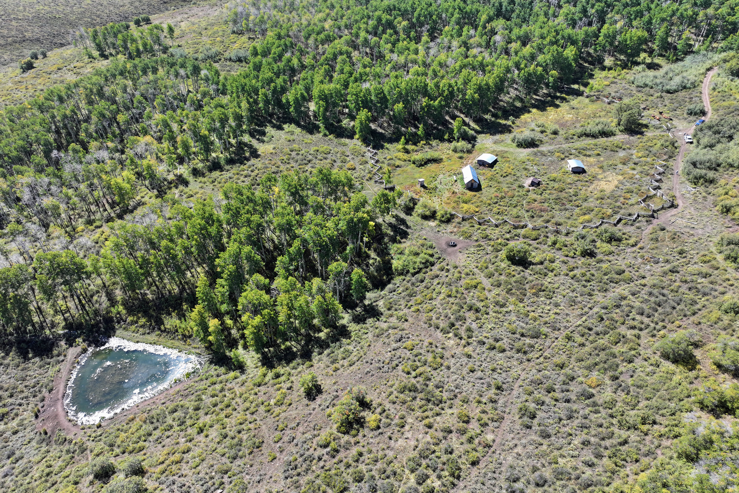 835 Acres in the Uncompaghre National Forest