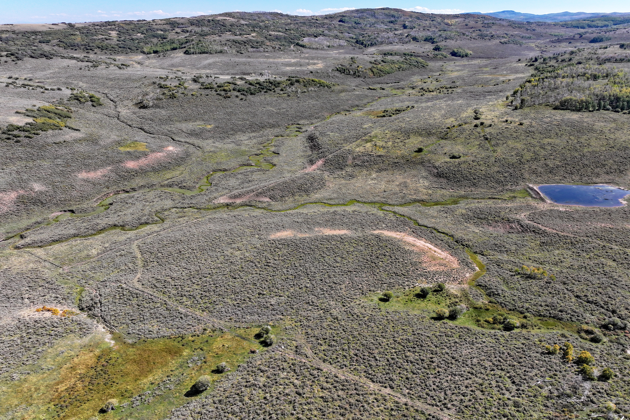 835 Acres in the Uncompaghre National Forest