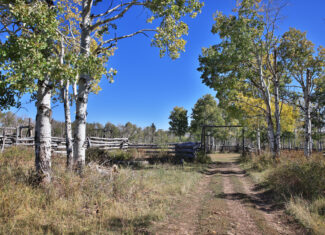835 Acres in the Uncompaghre National Forest