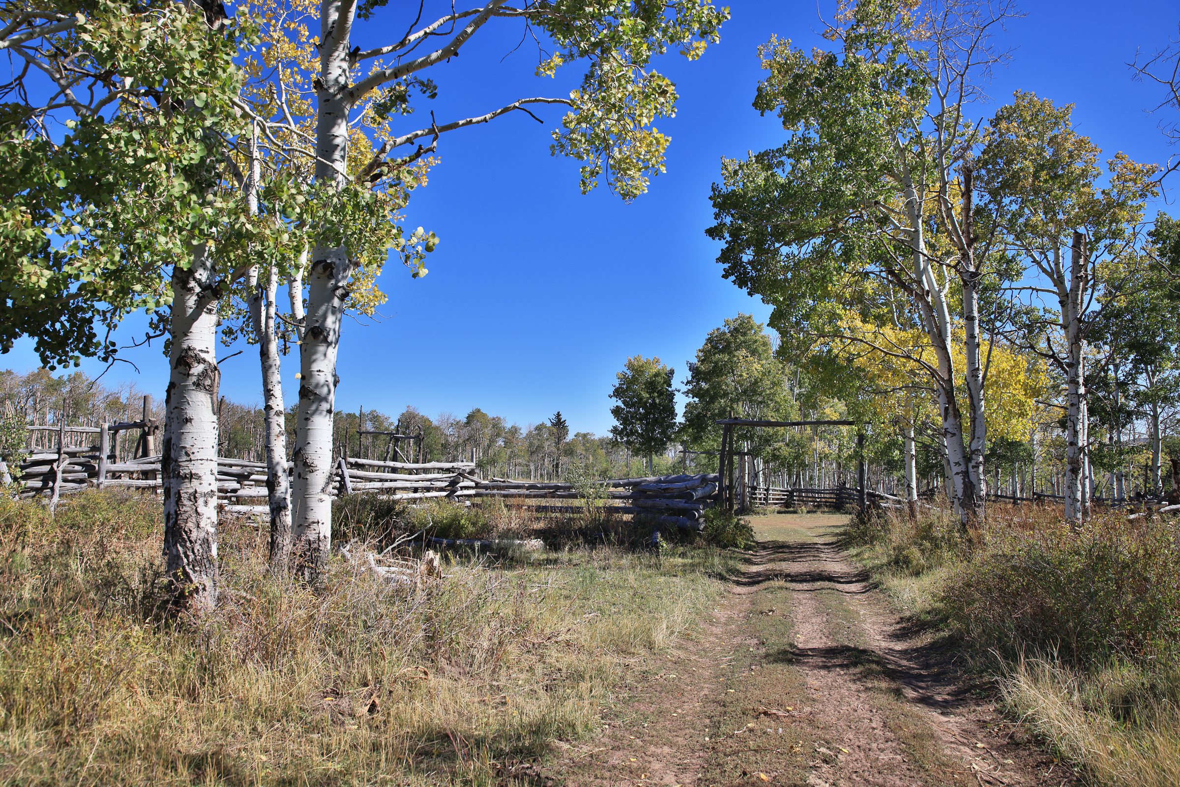 835 Acres in the Uncompaghre National Forest