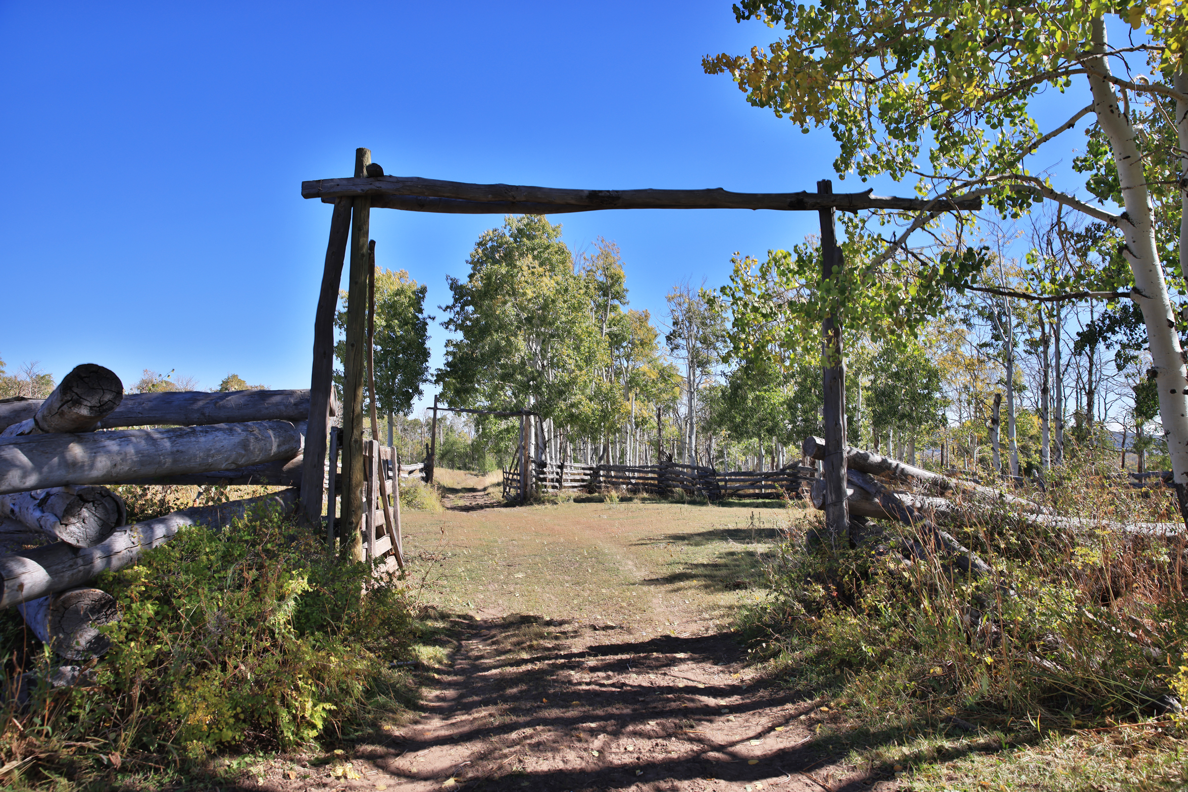 835 Acres in the Uncompaghre National Forest