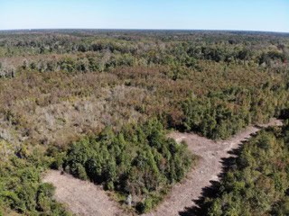 South Carolina Hunting Land for Sale