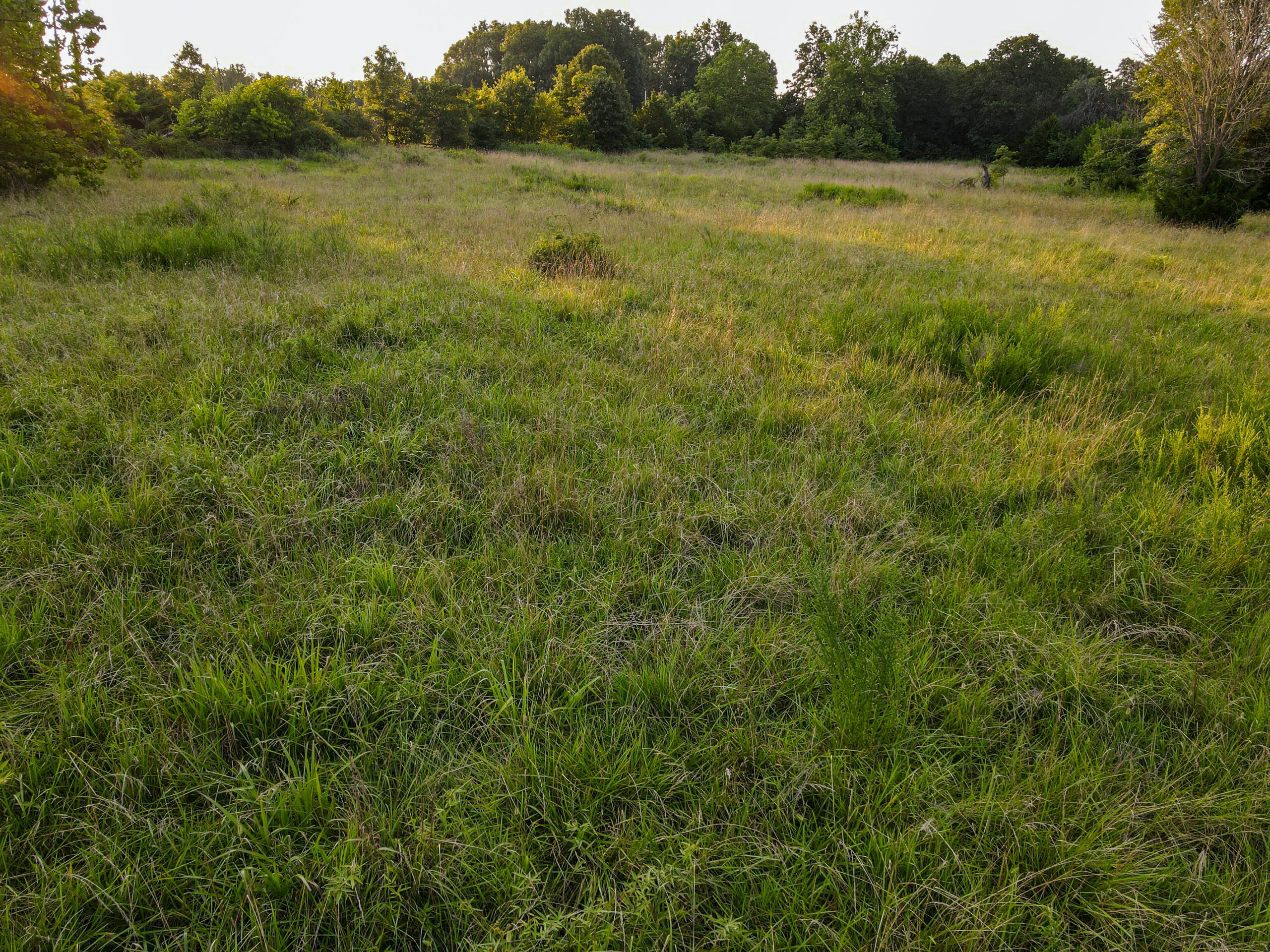 Land For Sale Barton County, MO 160± acres