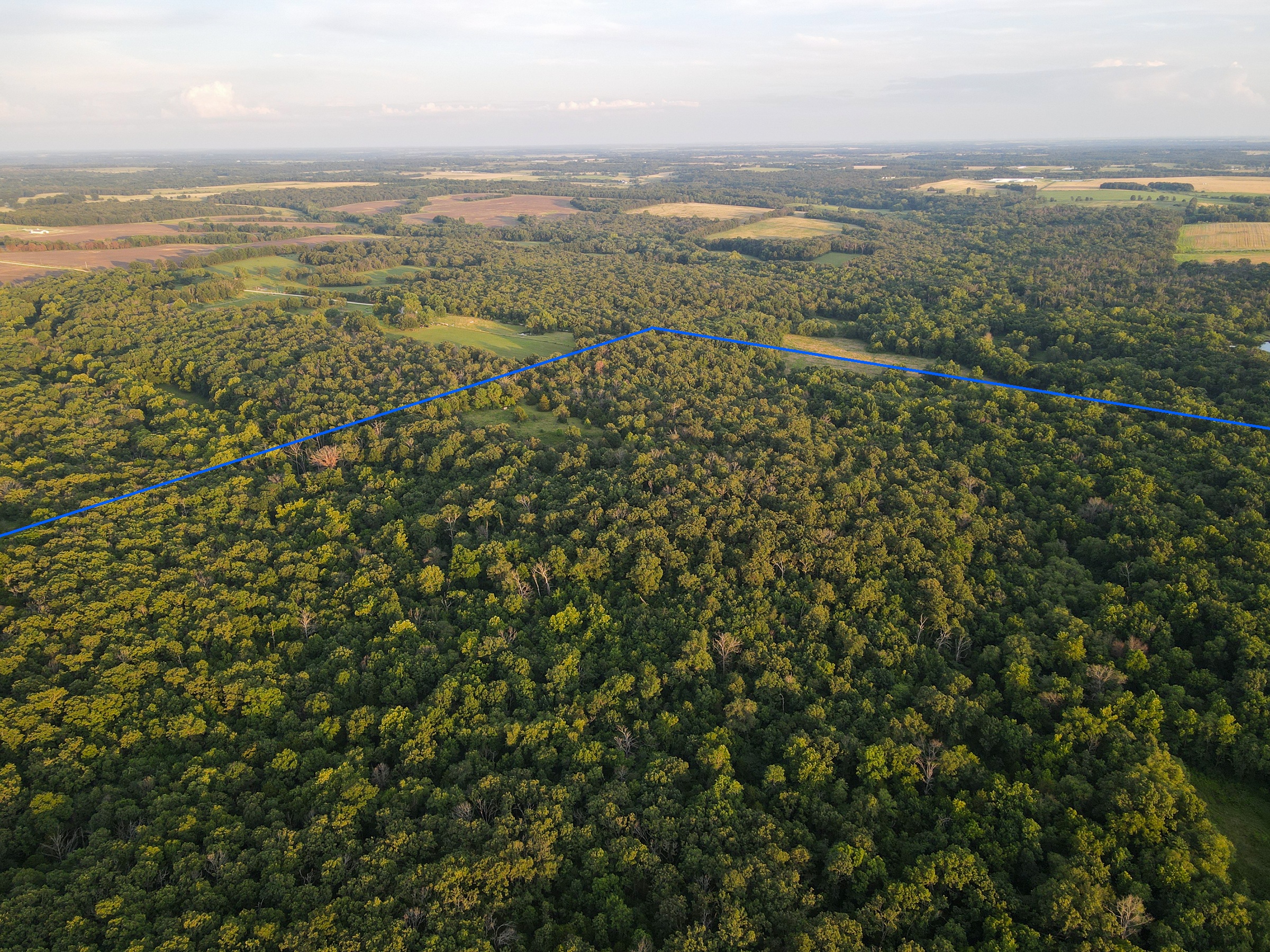 Land For Sale Barton County, MO 160± acres