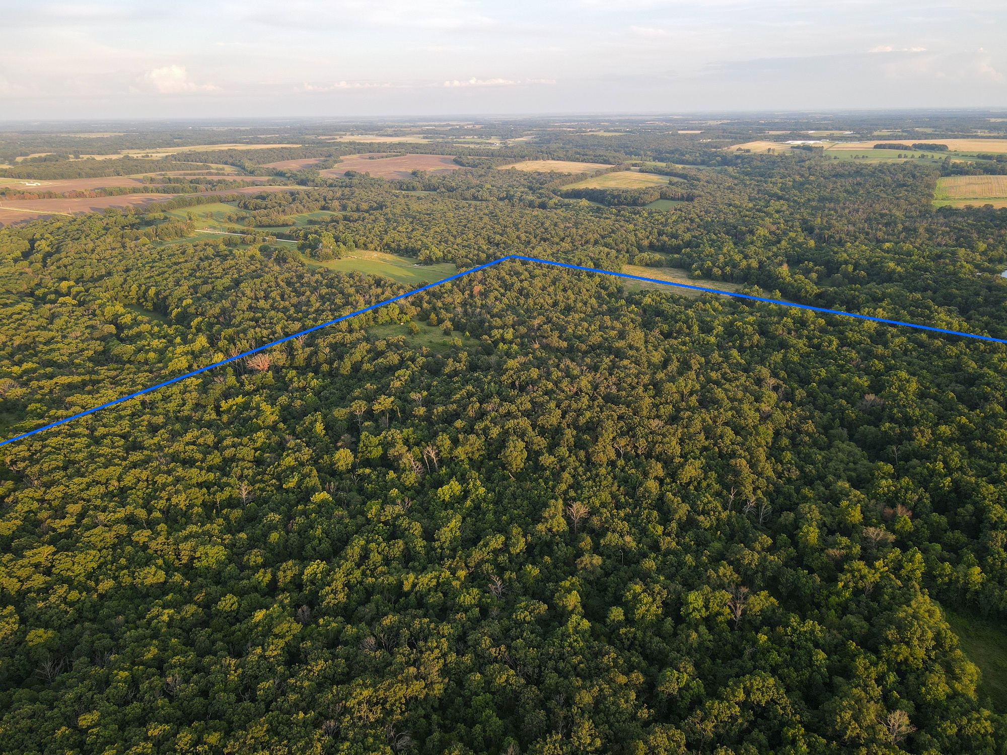 Land For Sale Barton County, MO 160± acres