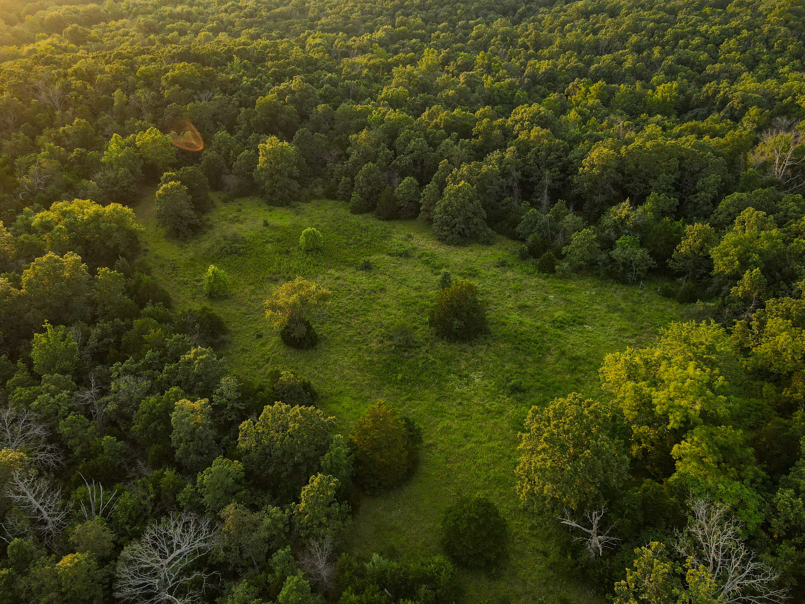 Land For Sale Barton County, MO 160± acres