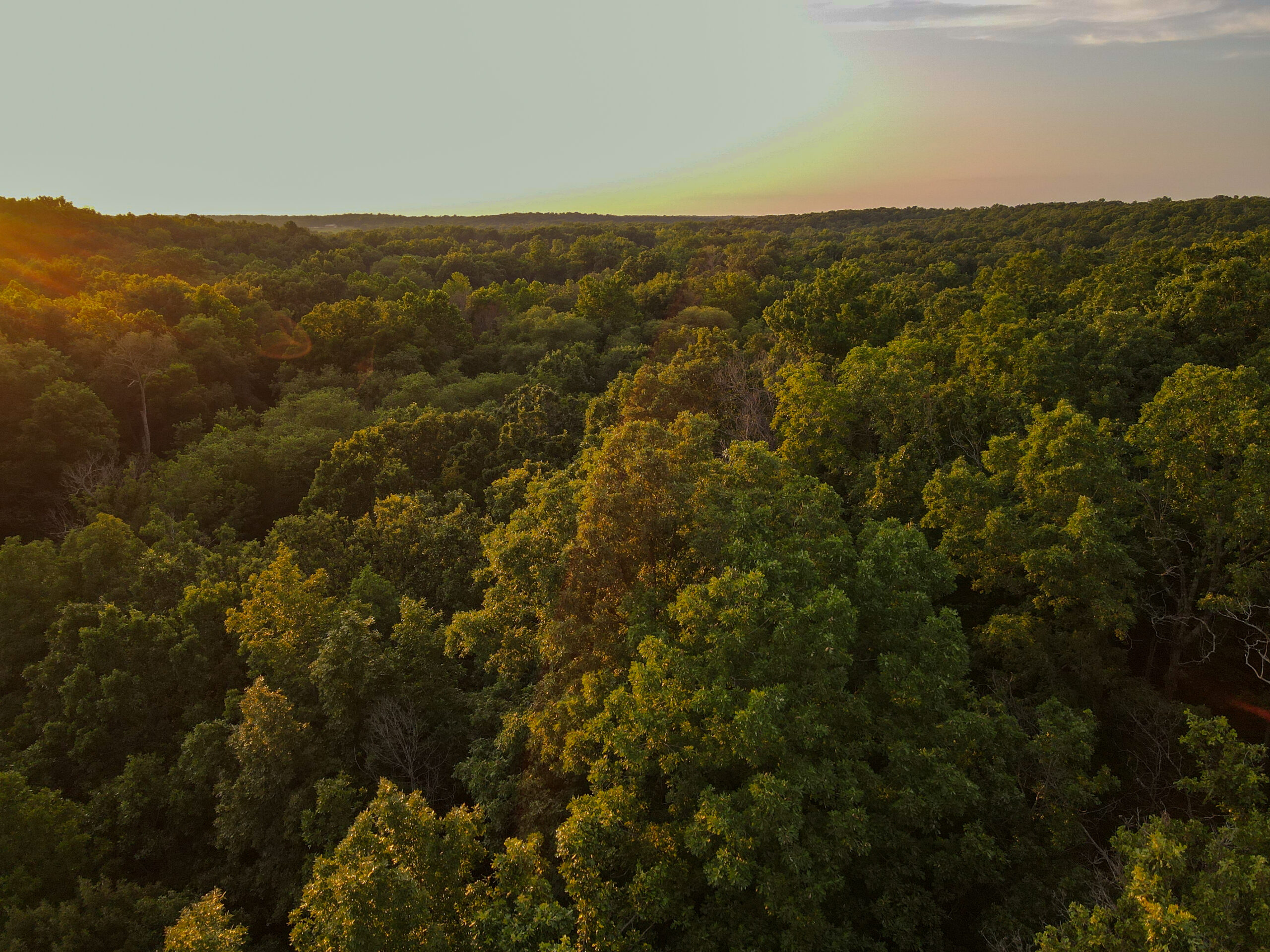 Land For Sale Barton County, MO 160± acres