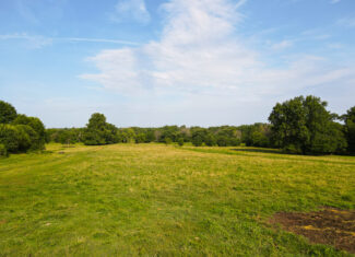 142+\- acres  For Sale El Dorado Springs MO
