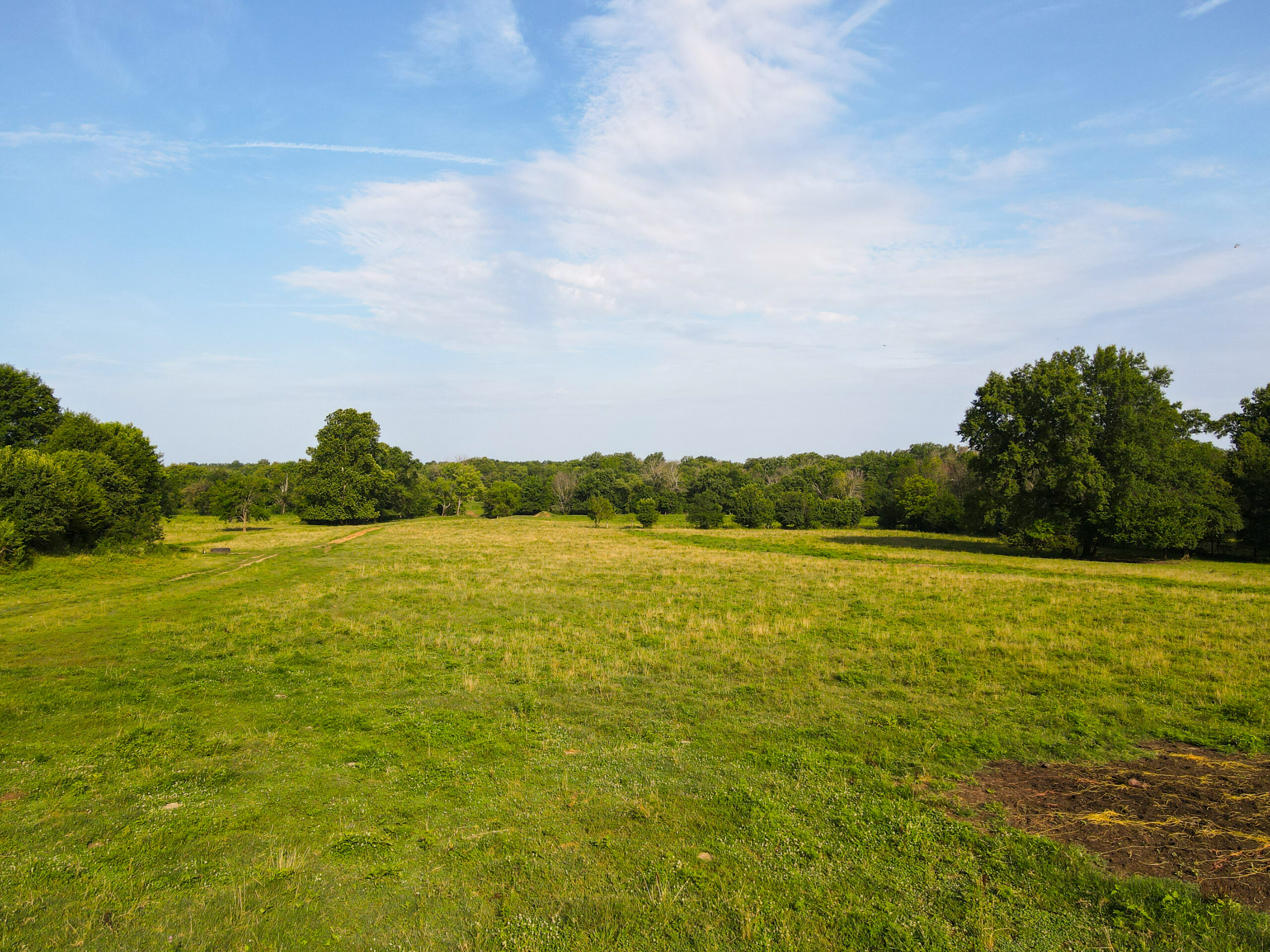 142+\- acres  For Sale El Dorado Springs MO