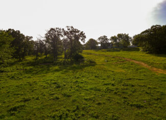 142+\- acres  For Sale El Dorado Springs MO