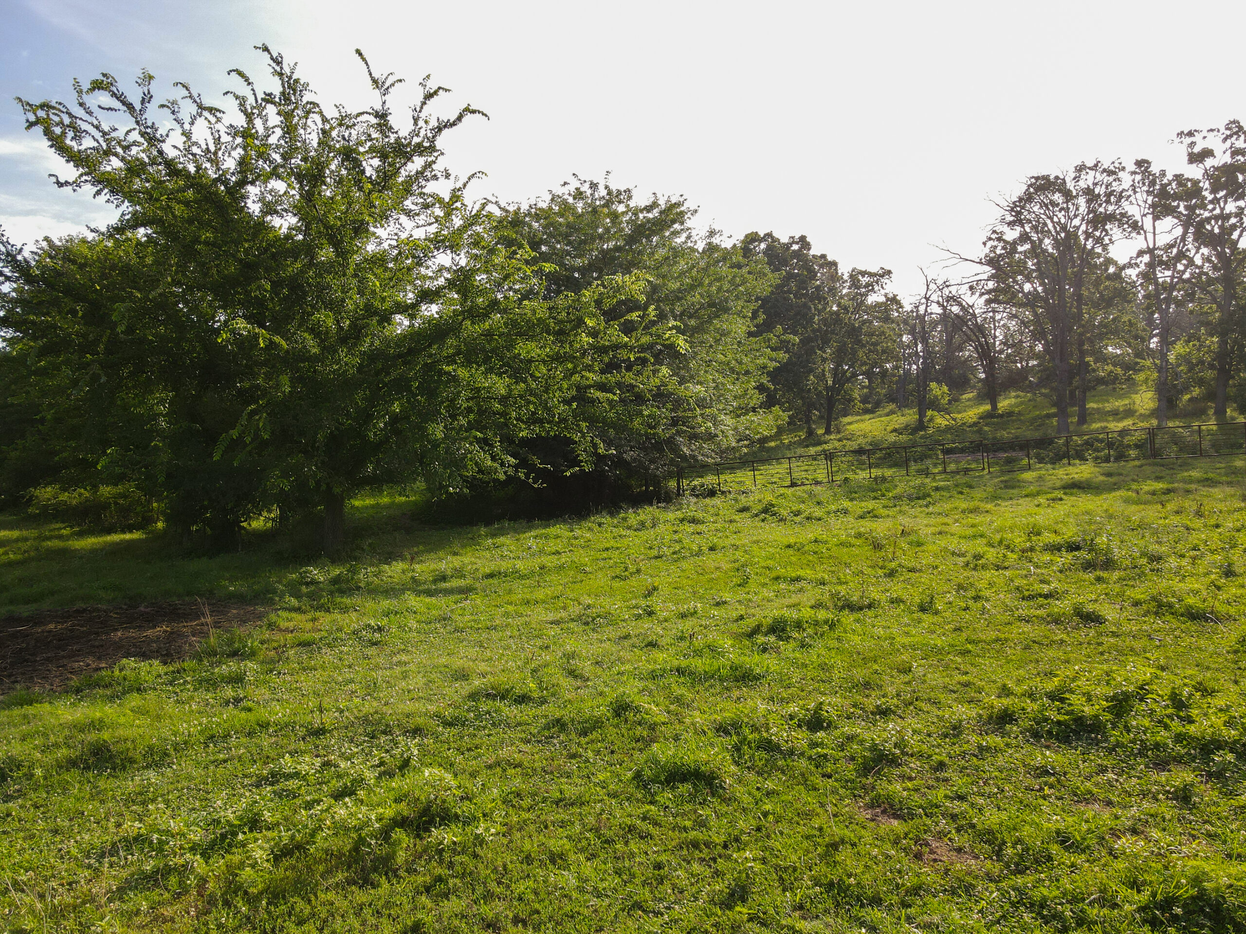 142+\- acres  For Sale El Dorado Springs MO
