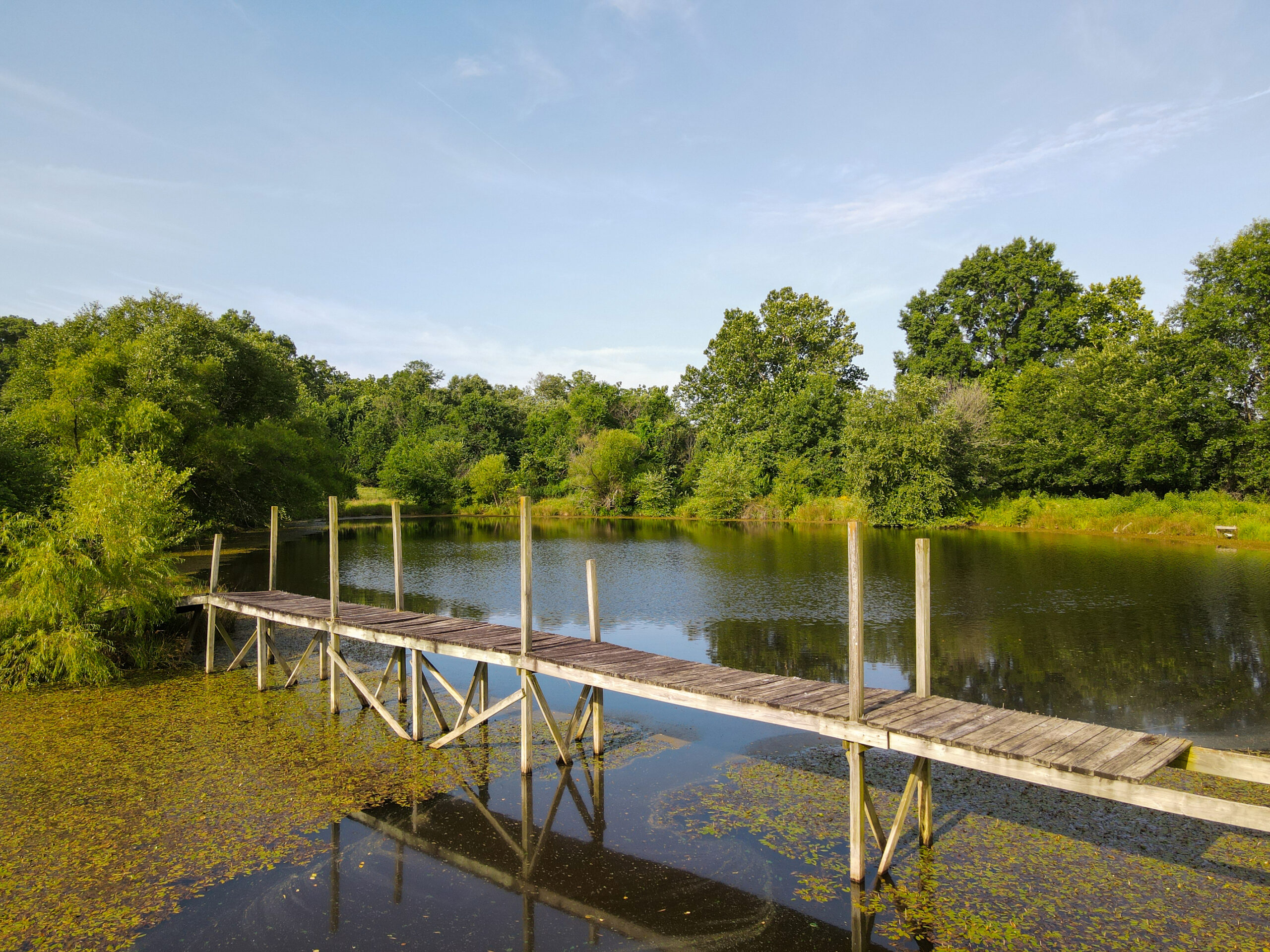 142+\- acres  For Sale El Dorado Springs MO