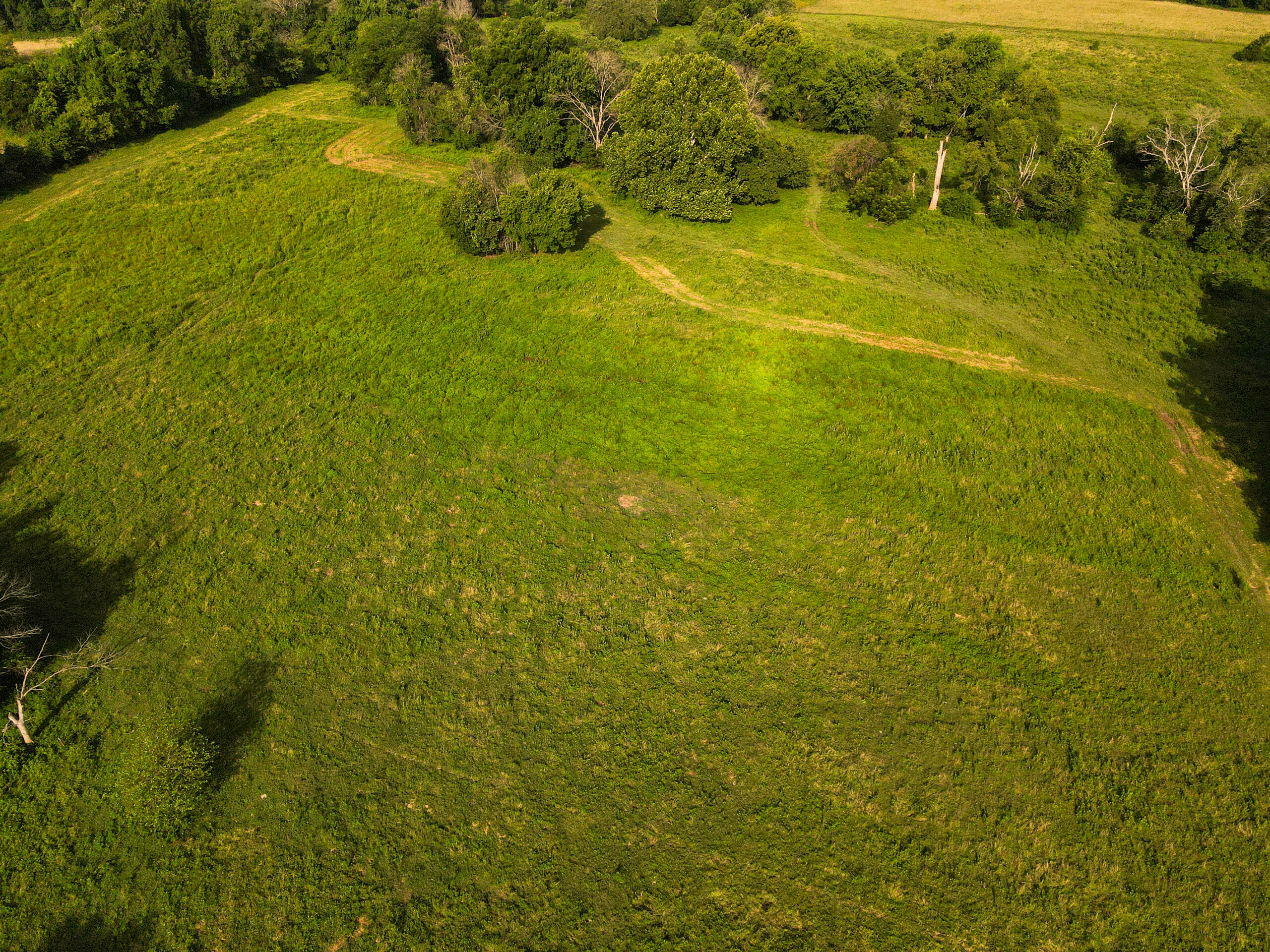 142+\- acres  For Sale El Dorado Springs MO