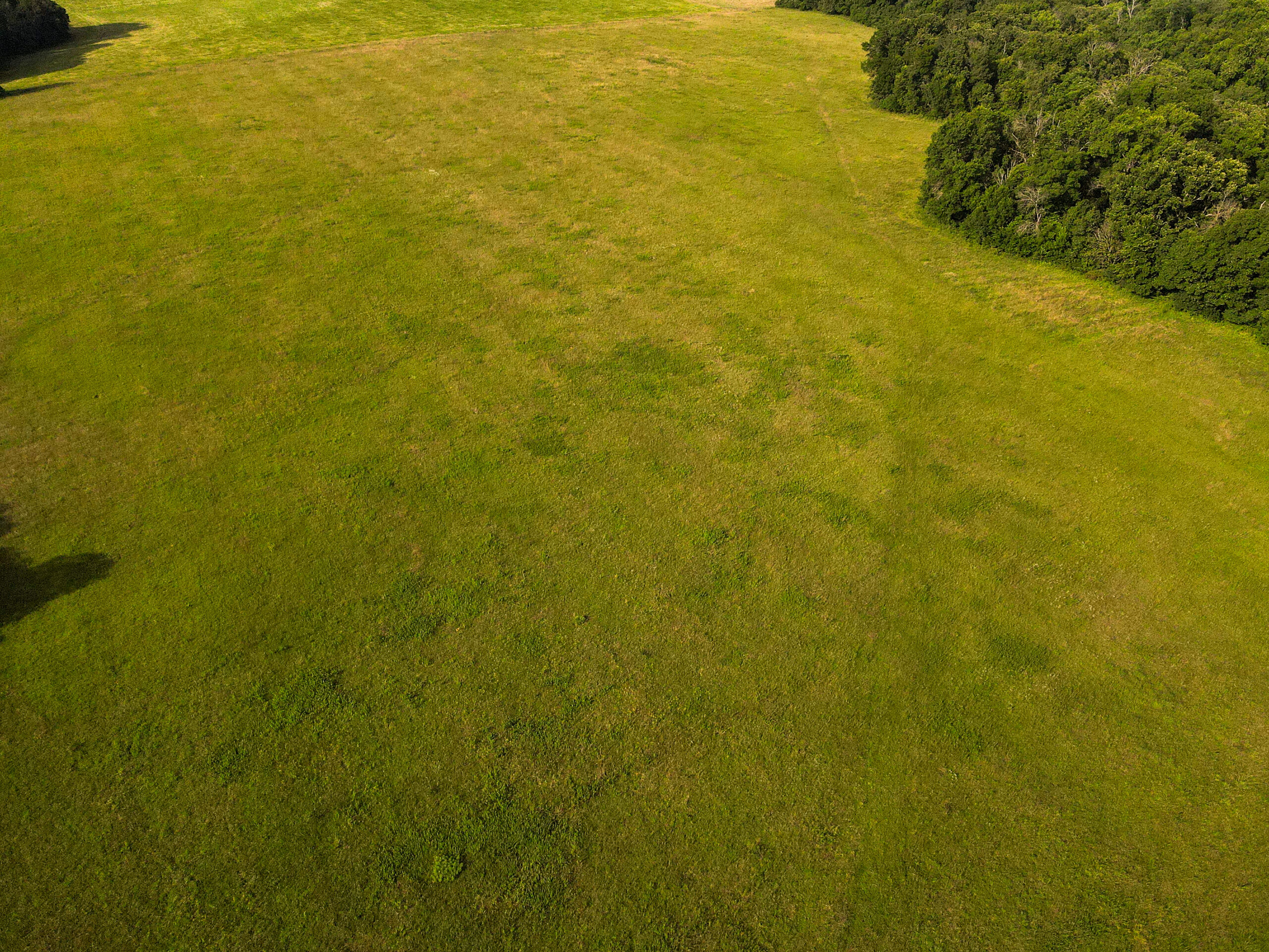 142+\- acres  For Sale El Dorado Springs MO