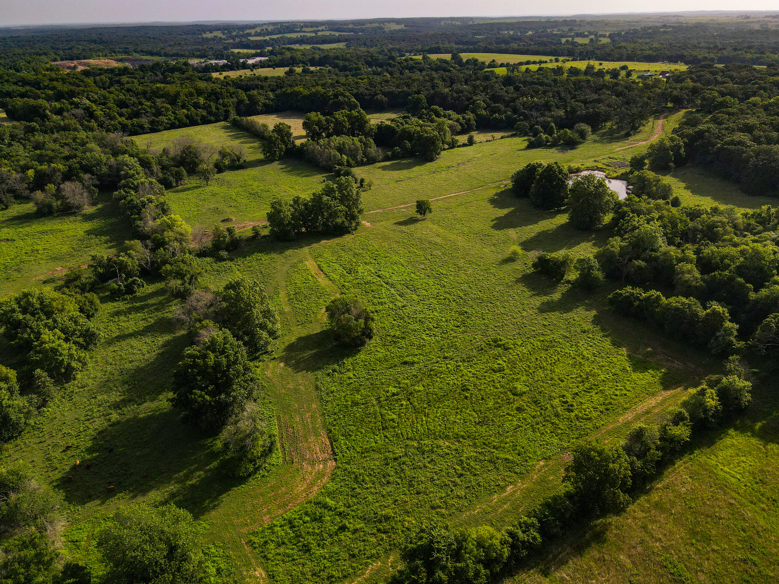 142+\- acres  For Sale El Dorado Springs MO