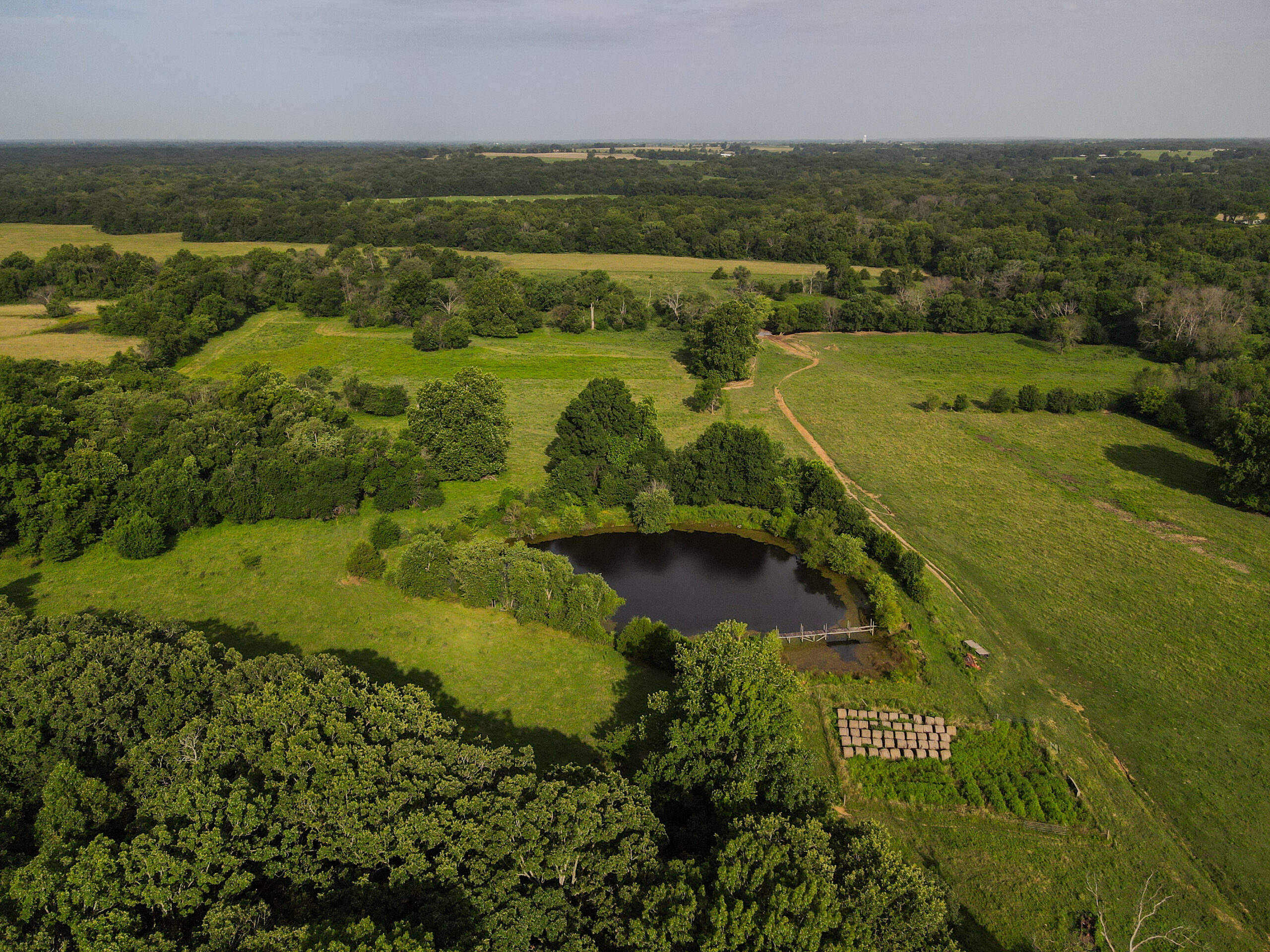 142+\- acres  For Sale El Dorado Springs MO
