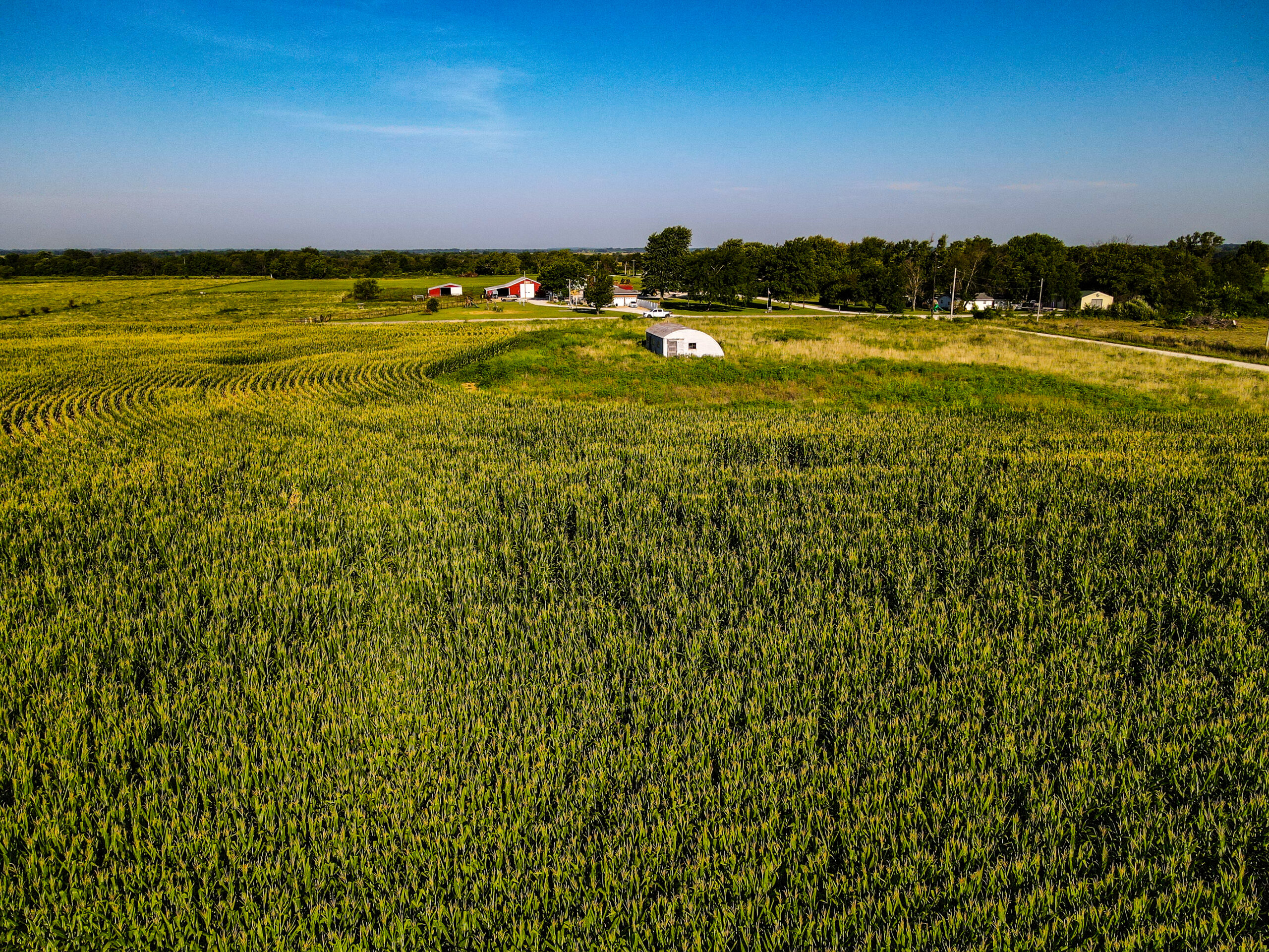 Land for Sale in Barton County